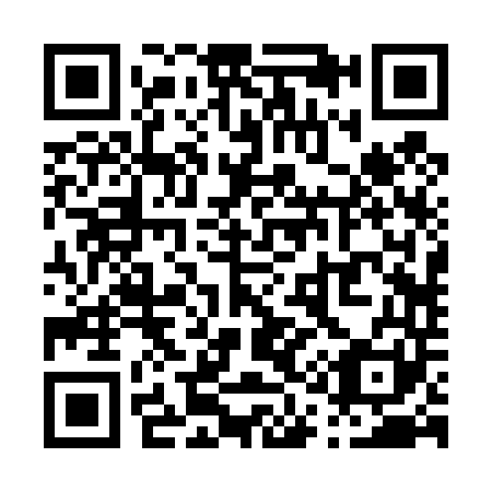 QR code for P12441