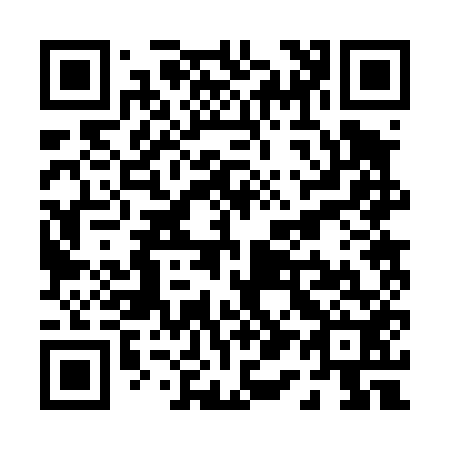 QR code for P12452