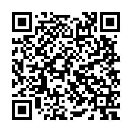QR code for P12560