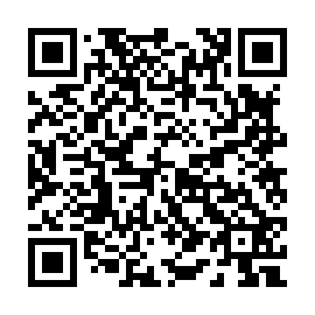 QR code for P12822