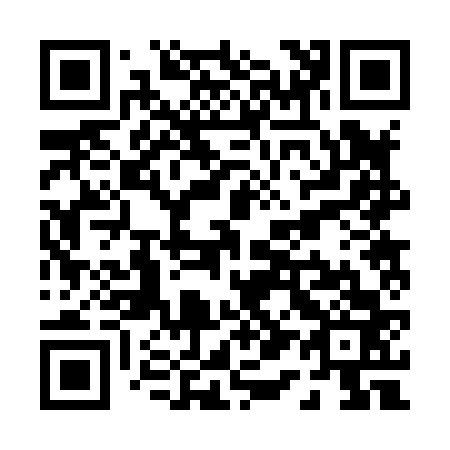 QR code for P12863