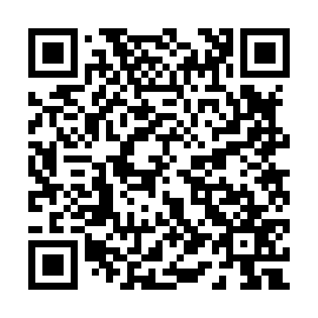 QR code for P12877