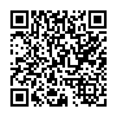QR code for P13003