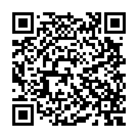 QR code for P13087