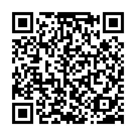 QR code for P13138