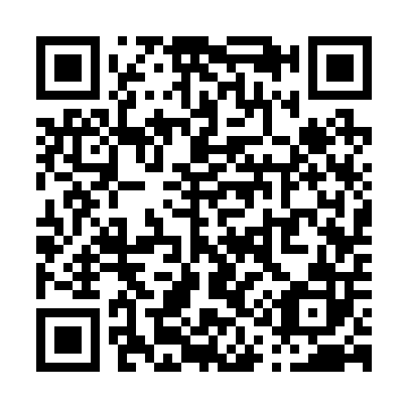 QR code for P13202