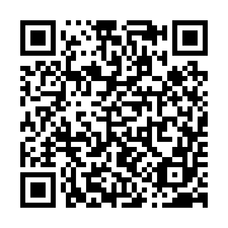 QR code for P13252