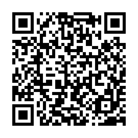 QR code for P13292