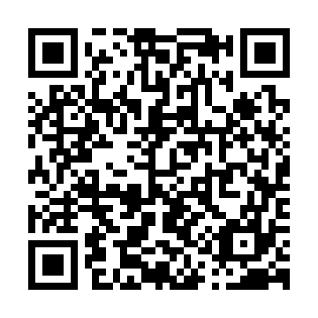 QR code for P13377