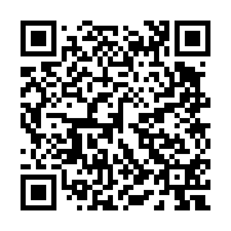 QR code for P13410