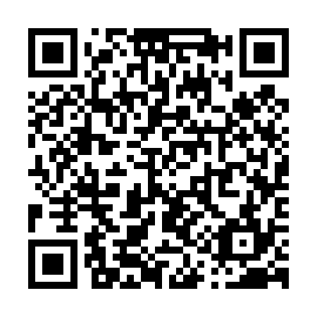 QR code for P13434