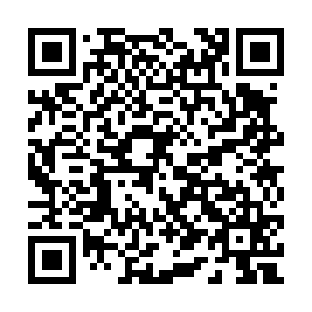 QR code for P13465