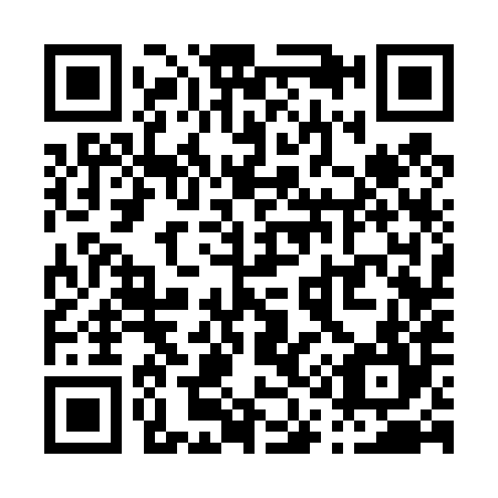 QR code for P13484
