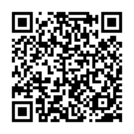 QR code for P13490