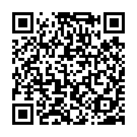 QR code for P13698