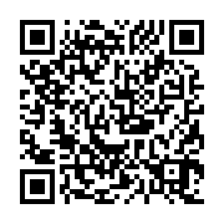QR code for P13802