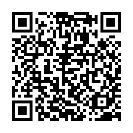 QR code for P13881