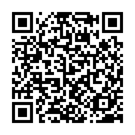 QR code for P15300