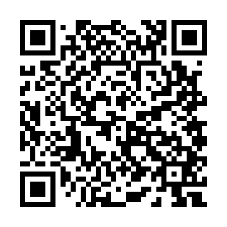 QR code for P16141