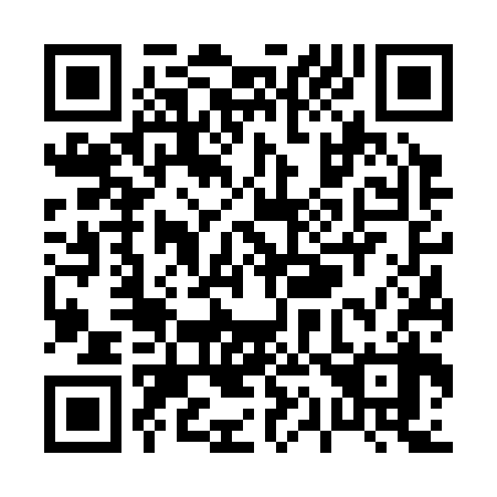 QR code for P16338