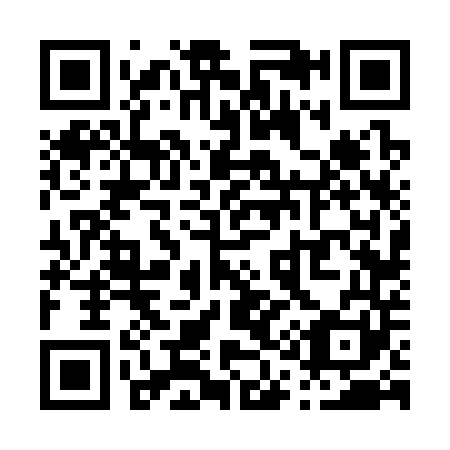 QR code for P16341