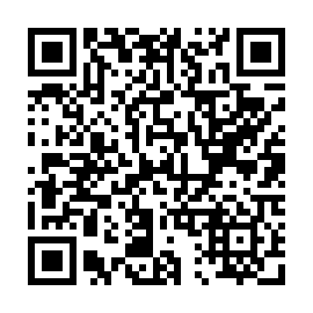 QR code for P16409