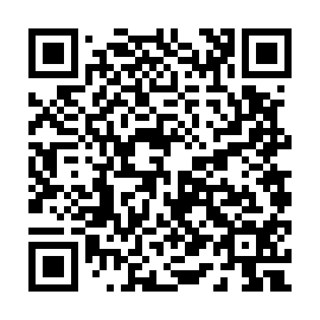 QR code for P16514