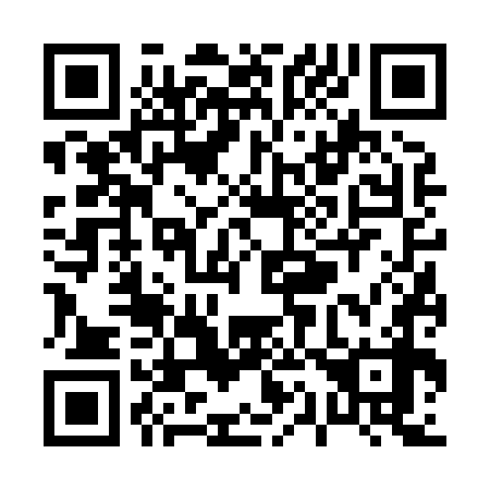 QR code for P16878