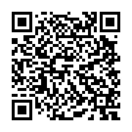 QR code for P17000