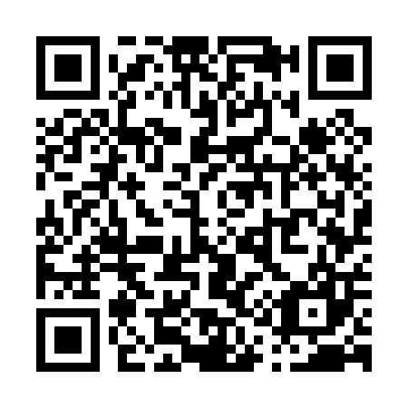 QR code for P17007