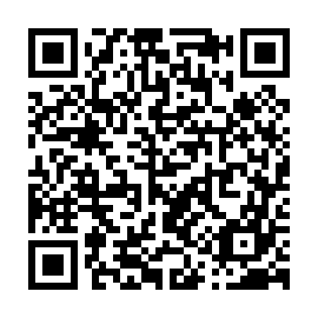 QR code for P17067