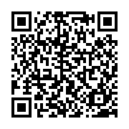 QR code for P17224