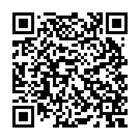 QR code for P17244