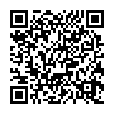 QR code for P17338