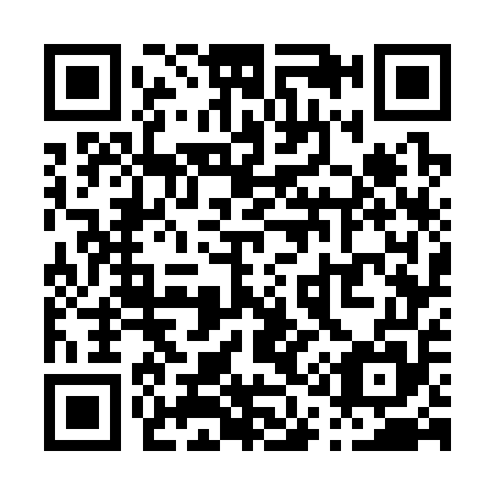 QR code for P17355