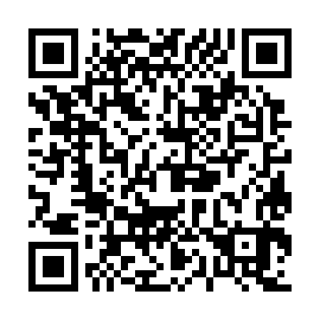 QR code for P17383