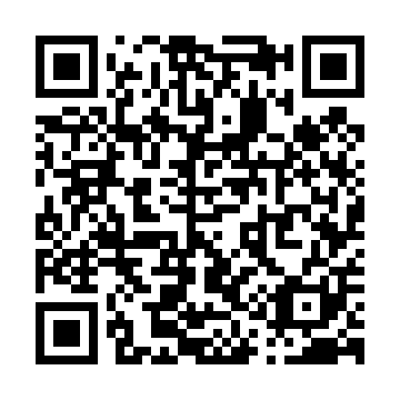 QR code for P17401