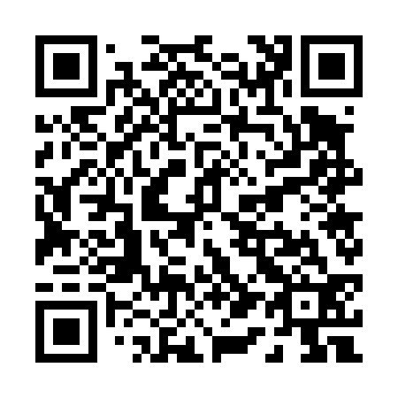 QR code for P17432