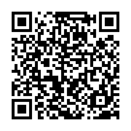 QR code for P17594