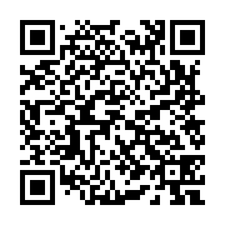 QR code for P17938
