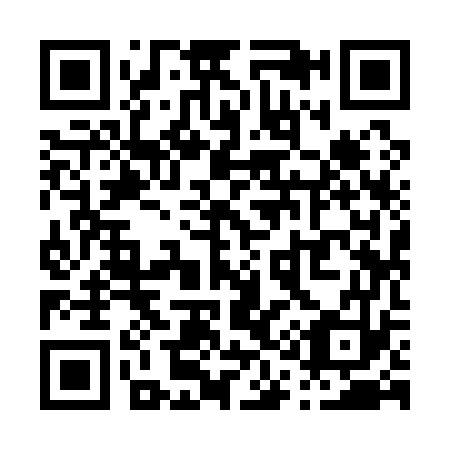 QR code for P19173