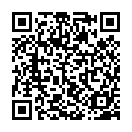 QR code for P19415