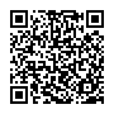 QR code for P19504