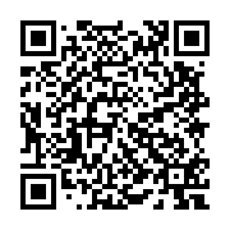 QR code for P19511
