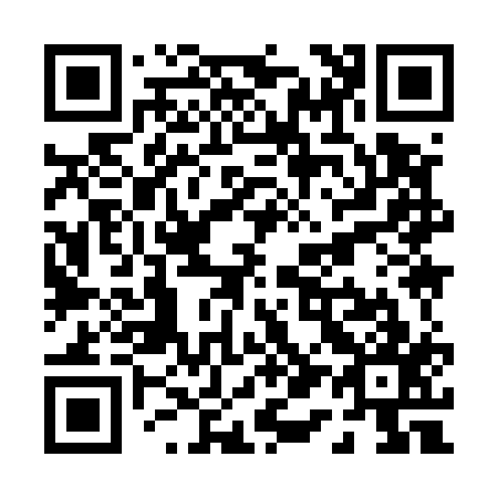 QR code for P19517