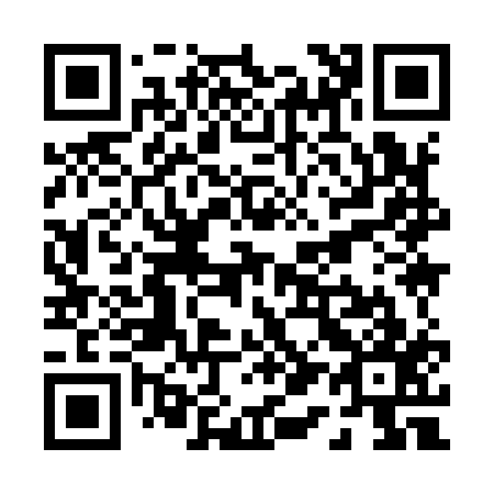 QR code for P19917