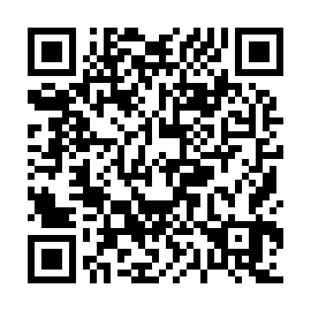 QR code for P19963