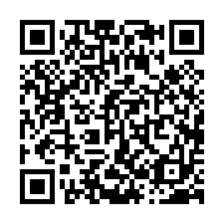 QR code for P20013