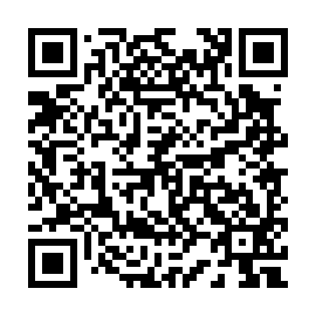 QR code for P20093