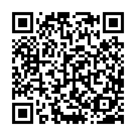 QR code for P20248